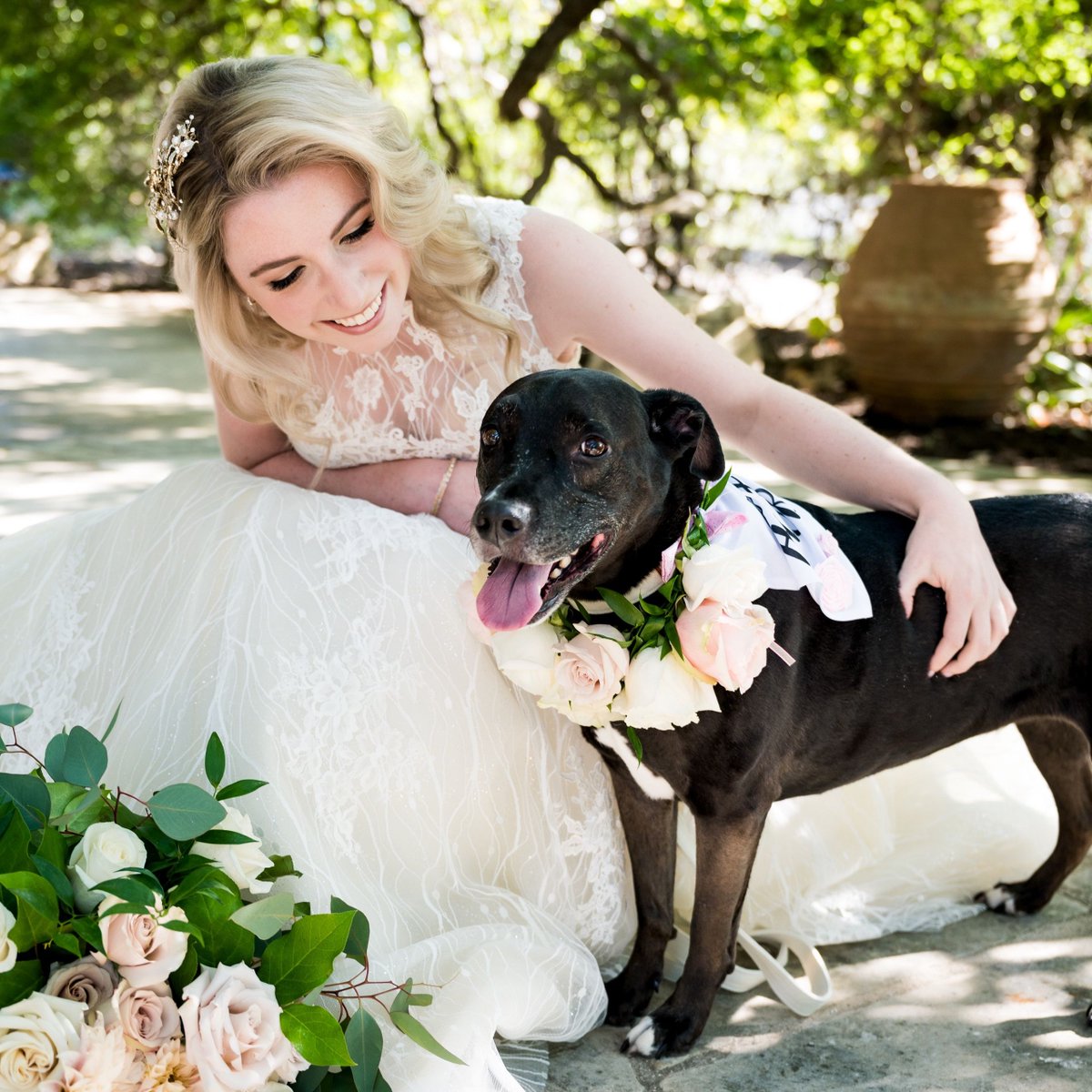 coryryanphoto's tweet photo. The Perfect Wedding Pawty! 🐶🐴 This animal-loving bride (and veterinarian! )simply couldn't bear to leave her sweet pup Nala behind on the most special day of her life. And while we are at it, why not have some adorable donkeys to deliver beers to guests, too? 🐾 https://t.co/hbvY1MJ3oc