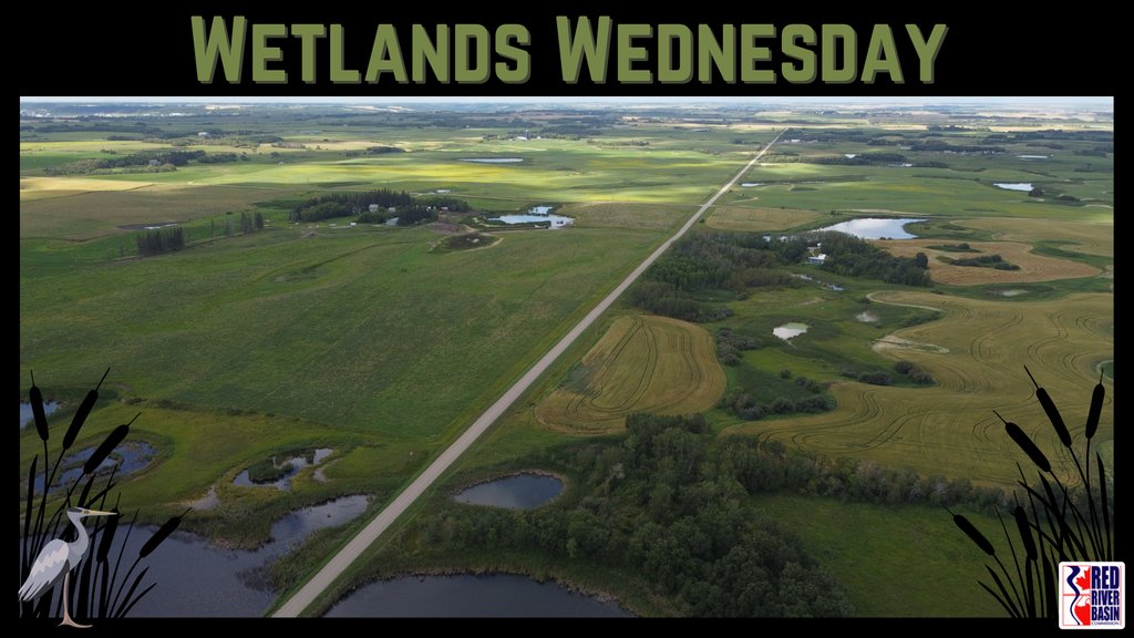 The U.S. Army Corps of Engineers (ACE) on March 22, 2024, announced its plans for enhancing the protection of the country's wetlands following the U.S. Supreme Court's Sackett v. EPA decision.

hklaw.com/en/insights/pu…

#WetlandsWednesday