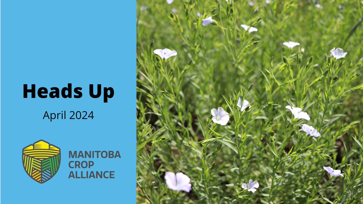 The April edition of Heads Up is now available! 

Read it here: ow.ly/xcqR50R6YJx

#cdnag #westcdnag #MbAg #MBFarms
