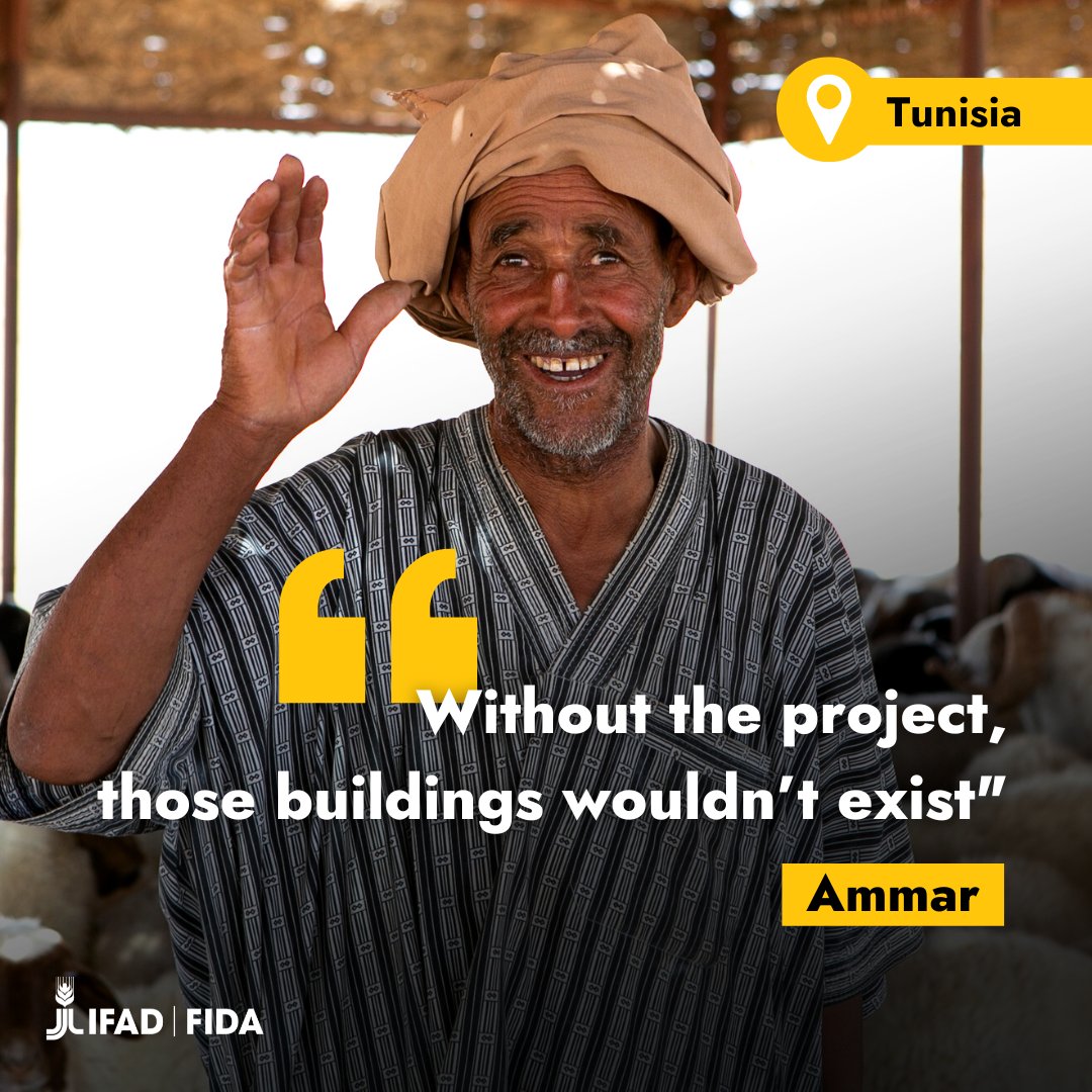 Ammar is a sheep farmer in Médenine Governorate, #Tunisia. IFAD has been working across the region to make agropastoral systems more resilient. Ammar can now shelter his herd from the desert sun thanks to a canopy built as part of an IFAD project 🐑☀️