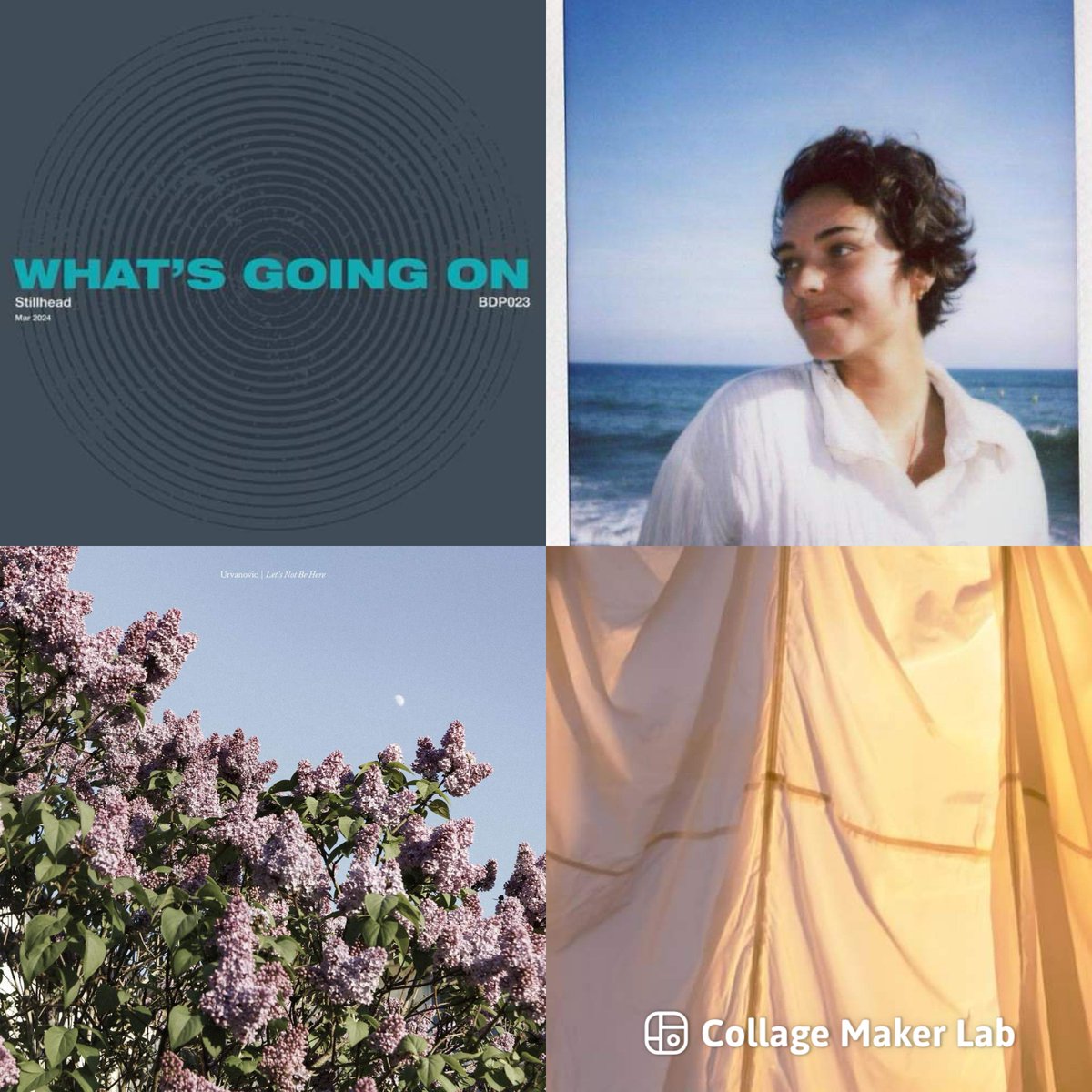 New tracks added to our Best New Scottish Music Playlist featuring: Stillhead - What's Going On [Brightest Dark Place] @tamzenee - What Sundays Are For @youngpoet Urvanovic - RAZE! Common Grounds/ @wastedstate naafi - UVA open.spotify.com/playlist/5vorH…