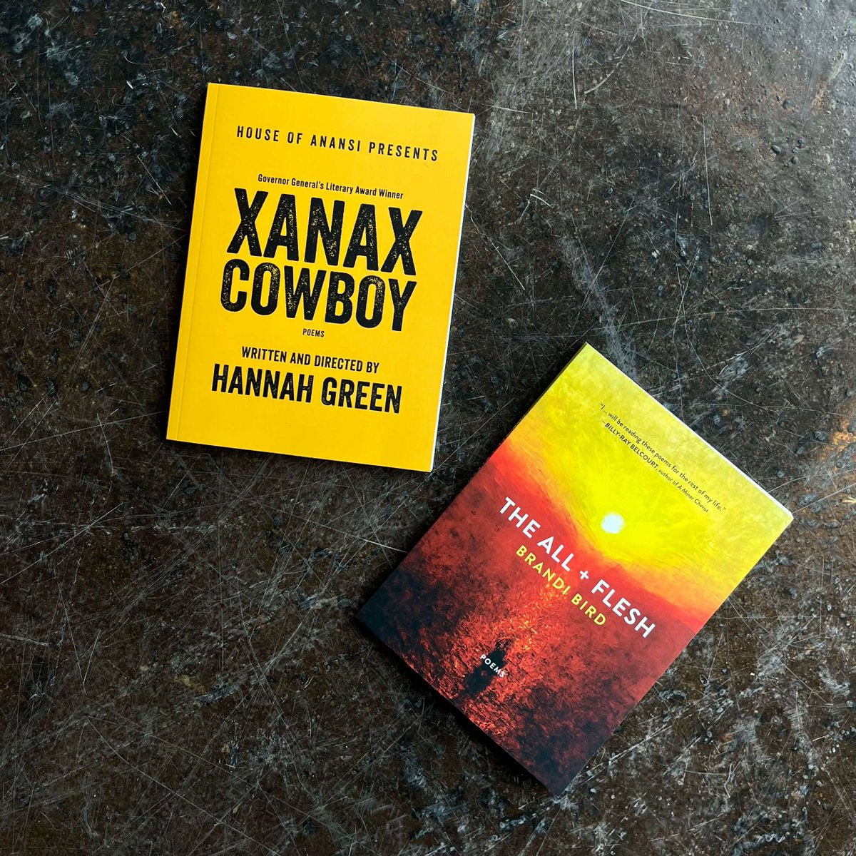 The #LCP book award longlists are in! 🎉 THE ALL + FLESH by @brandibird_ and XANAX COWBOY by @xanaxcowboy_ are on the longlist for the Gerald Lampert Memorial Award. THE ALL + FLESH is also longlisted for the Pat Lowther Memorial Award and the Raymond Souster Award.