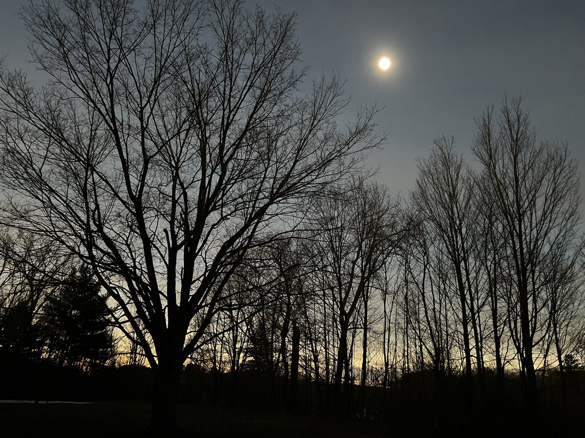 I took this photo during the eclipse the other day. This is while I was in the shadow (our house was in the path of totality). It made it look like a 360 degree sunset and I could see stars in the sky. It was super cool! (This was around 3:30 pm.)