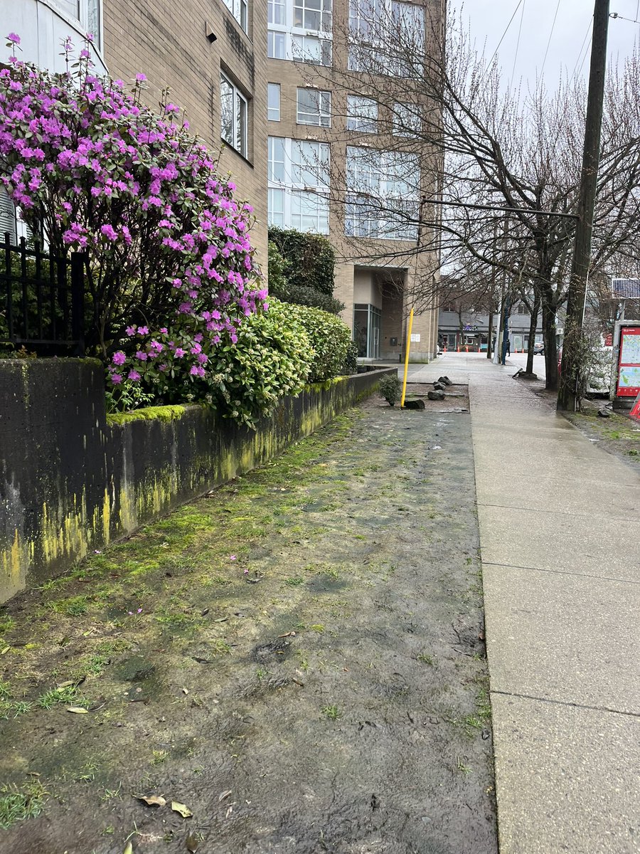 Tripz4Less1's tweet photo. Day 31 
A Boy and the City 
Dunezy returns home 
Canadian thrift 
Triple D spot #10 Meat and Bread
Vancouver to Kamloops BC

Price BD 
Gas $70 c
Sweater $60 c 
Parking $27 c
Food $37 c

Saved 
Hotel $85 c

#travel #vancouver #you #should #it #is #a #special #city #KamloopsBC https://t.co/HbrJELWUBj