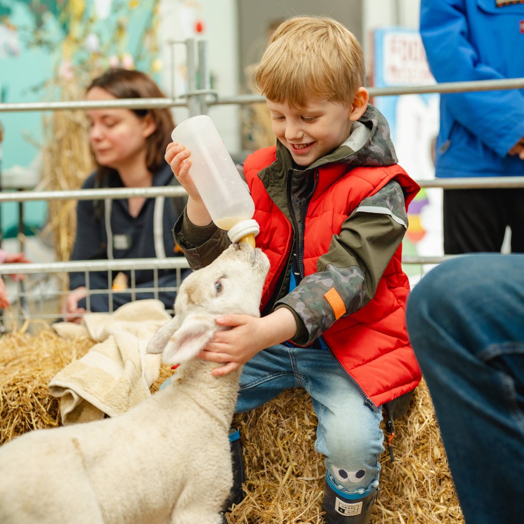 Tomorrow is your last chance to have a go at feeding our adorable lambs (although they'll still be around for you to visit after)! 🐑 Don't miss your chance for a lamb cuddle on the last day of the Easter holiday - sessions at 11.30 & 15.00. foodmuseum.org.uk/events/easter-…