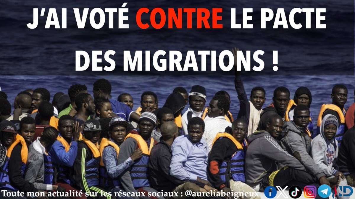 🇪🇺 Avec mes collègues du @GroupeID_FR nous avons voté contre le Pacte des Migrations imposant des sanctions financières aux États-membres. ❌ Ce pacte funeste n’a qu’un but, organiser la submersion de notre continent contre la volonté des peuples européens : combattons-le !
