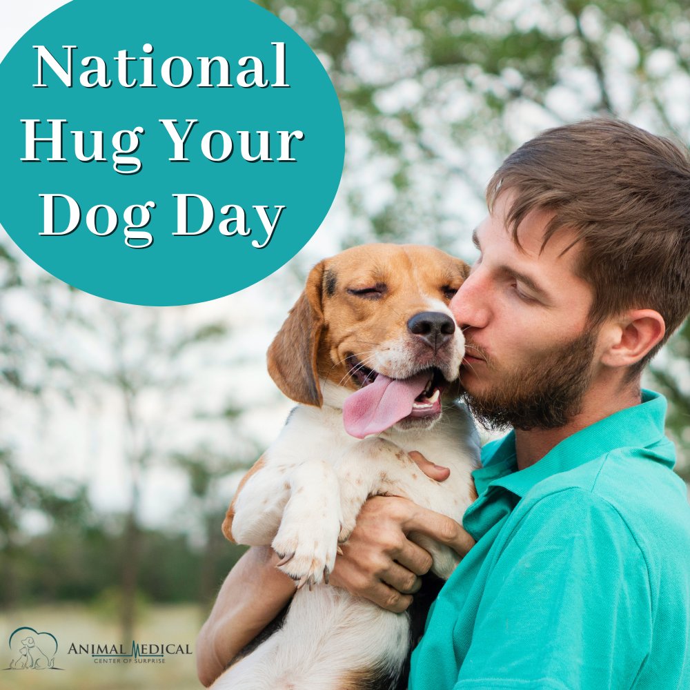 It's National Hug Your Dog Day!

#AnimalMedicalCenter #SurpriseAZ #veterinarymedicine #veterinarian #NationalHugYourDogDay #DogHugs #VeterinarianApproved #DogLovers #FurryFriends #PawsandHugs #HugYourPup #PuppyLove