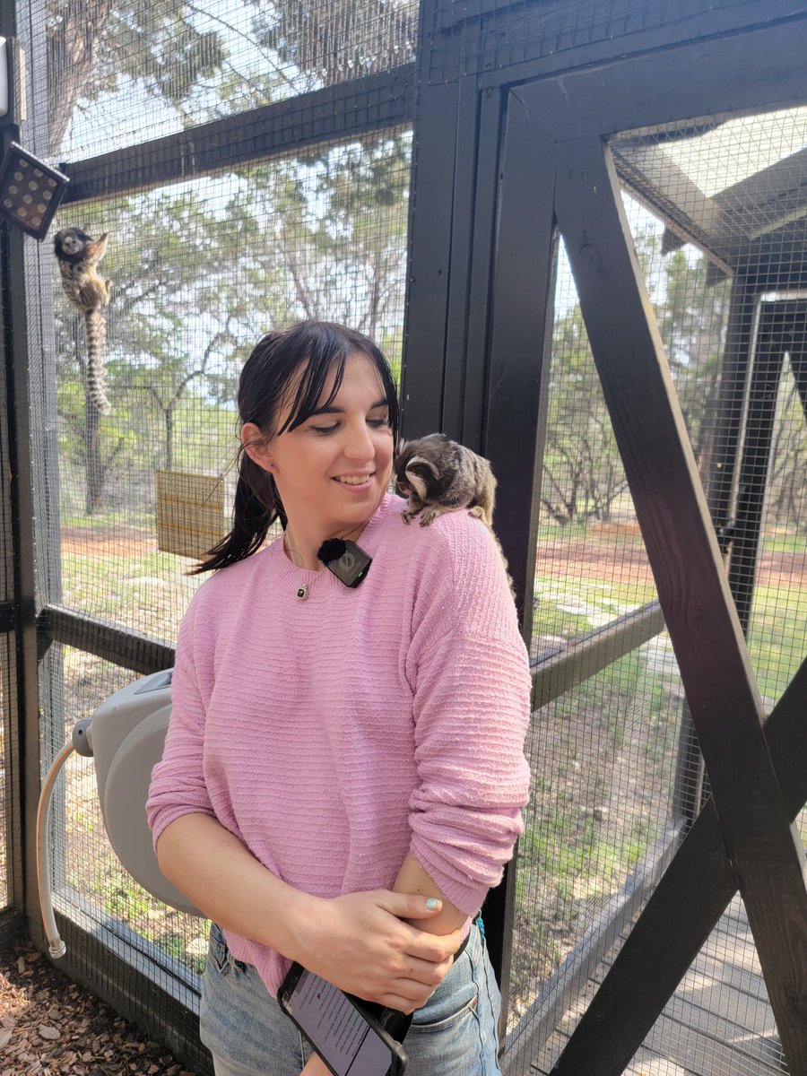 Have a bunch of pics from visiting @AlveusSanctuary yesterday! :D Thanks again to @mayahiga for having us!