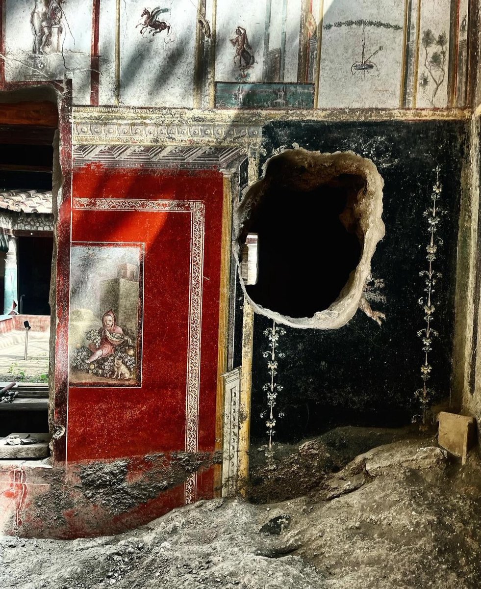 Hoy, Massimo Osanna @MassimoOsanna , anterior director de #Pompeya, ha publicado esta fotografía de las excavaciones en curso en la Ínsula de los Amantes Castos. Más de 1945 años de historia inmortalizados en colores vivos, una escena que se funde con el jardín y piroclastos 😍