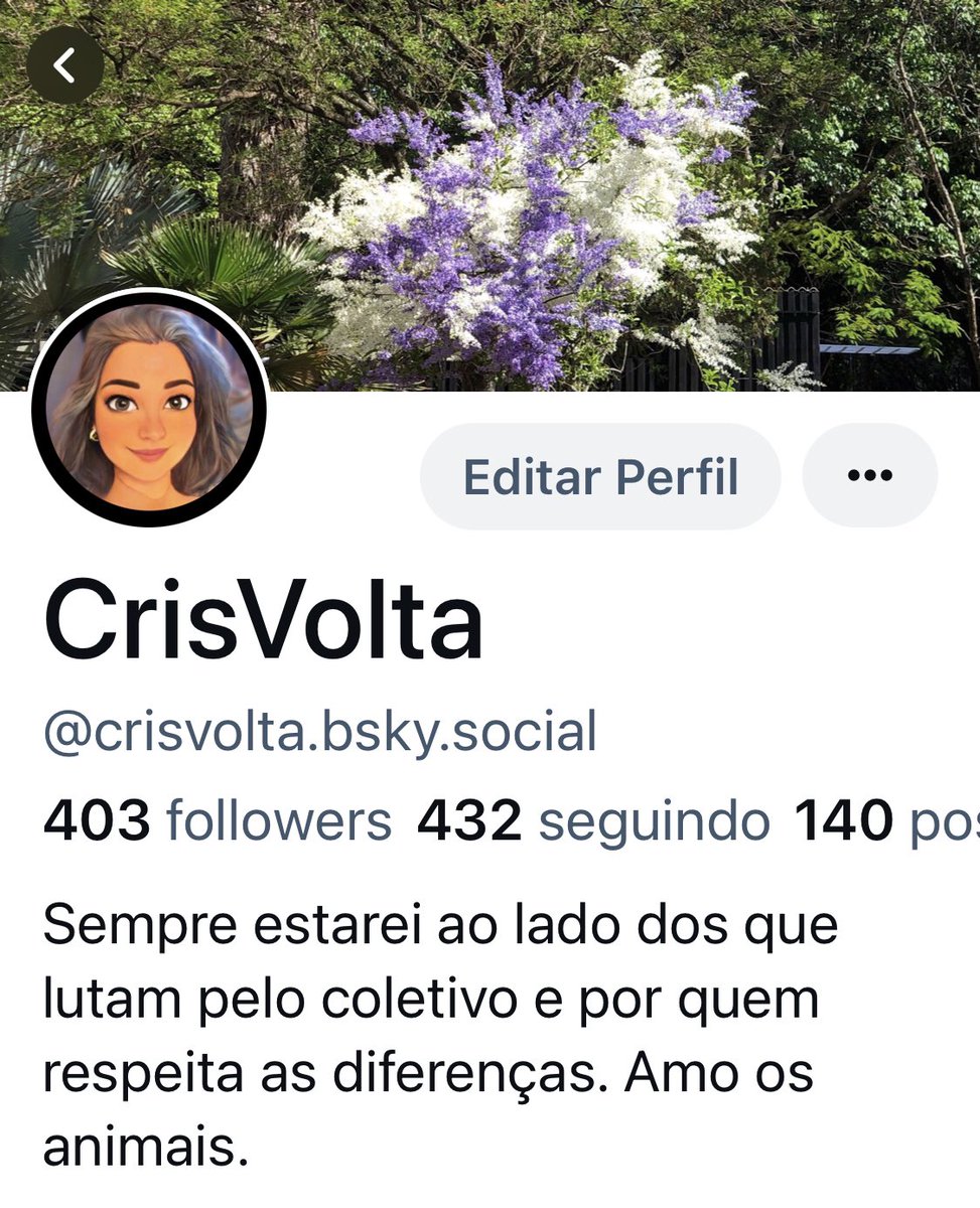 Meus compalheiros de luta, estou dando adeus a essa rede fascista, cujo dono não respeita o nosso presidente e a nossa soberania, estou no <a href="/bluesky/">Bluesky</a> caso queiram ir pra lá me encontrem, por favor