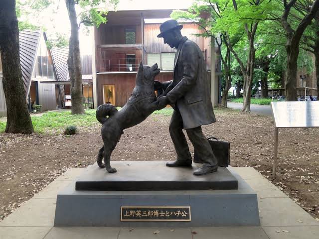 Hachiko tweet media