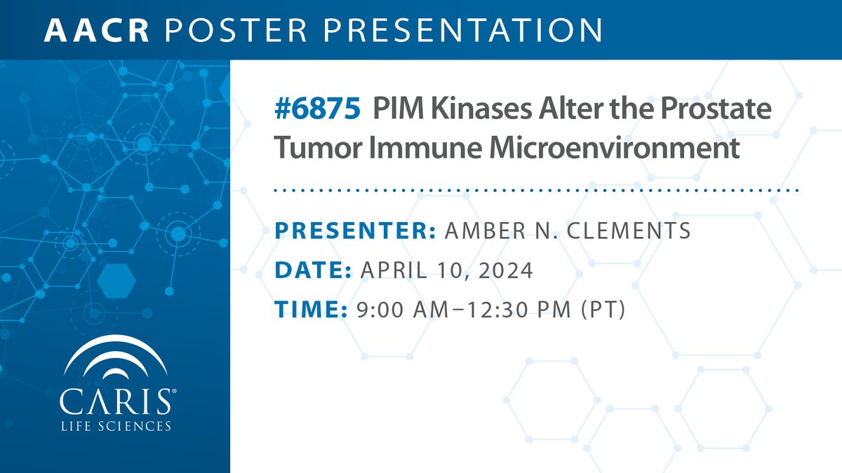 Can targeting PIM kinases enhance the activity of immunotherapy in prostate cancer? Hear @AmNClem from @UAZCancer discuss molecular and immune profiling in primary and metastatic tumors, as well as research in primary cells and mouse models that say yes. #AACR24