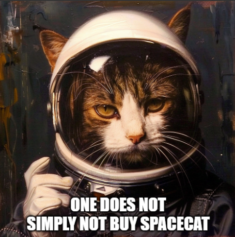SpaceCat_CTO's tweet photo. $SPAC is making a come back, pick up your bag today!
CA HA4PQENAtCzvfqyCXRzVrTpX5f2oPCgLjcvBojwDDE4S https://t.co/TwwUFyNthe