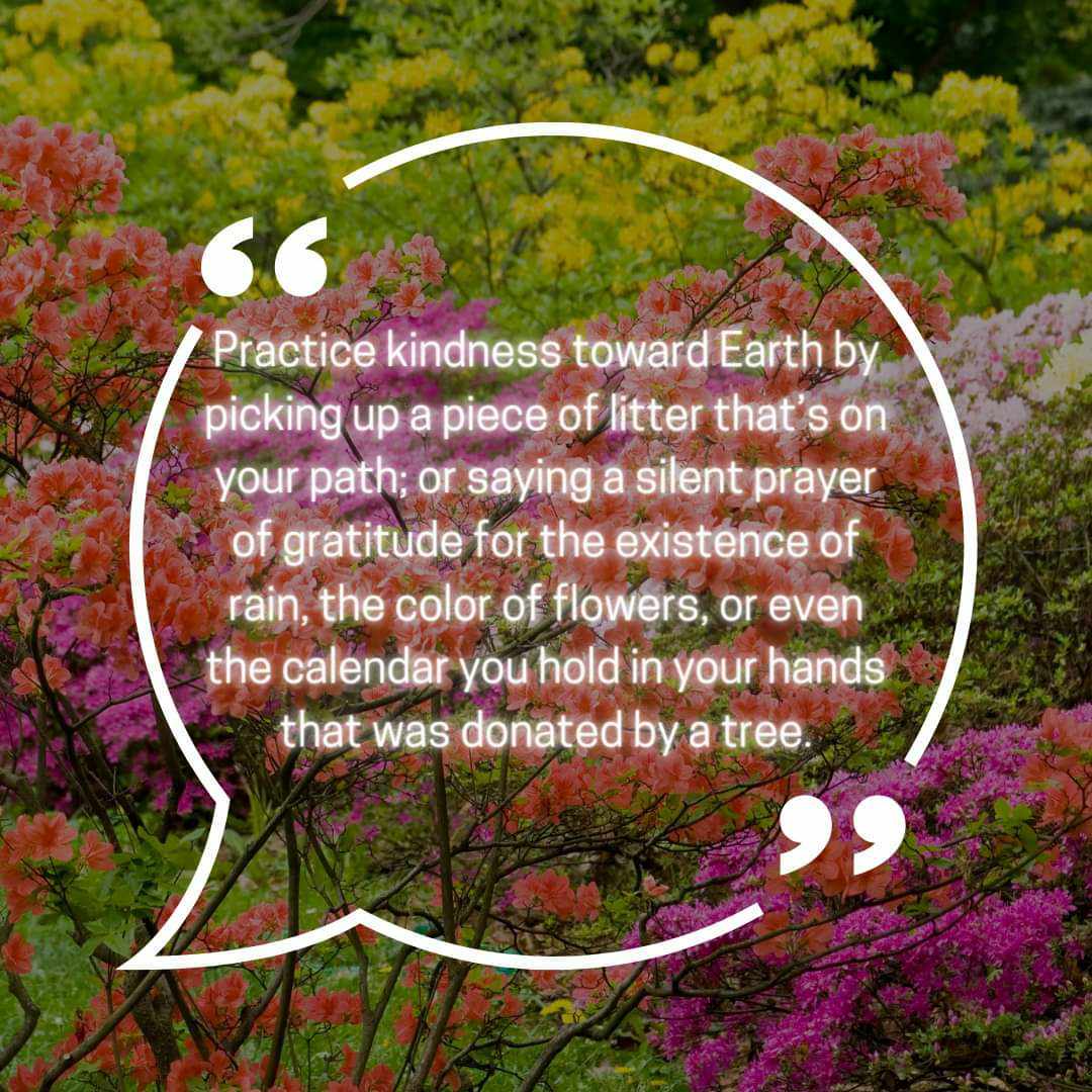 shriyanaren7's tweet photo. "Practice kindness toward Earth by picking up a piece of litter that’s on your path; or saying a silent prayer of gratitude for the existence of rain, the color of flowers, or even the calendar you hold in your
hands that was donated by a tree."
#Wayne_Dyer🌸 https://t.co/RrBePTDYDu