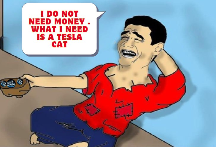 🎉 Tell me what you want?

💰 I will grant your wish.

🎉 Let's continue to reach the finish line together

Chart : dexscreener.com/solana/auw1z9v…

✈️ Channel: t.me/TeslacatSol
🕊 Twitter: x.com/TESLACAT_SOL
🌐 Website: teslacat.io

#Teslacat $Tcat #ElonMusk