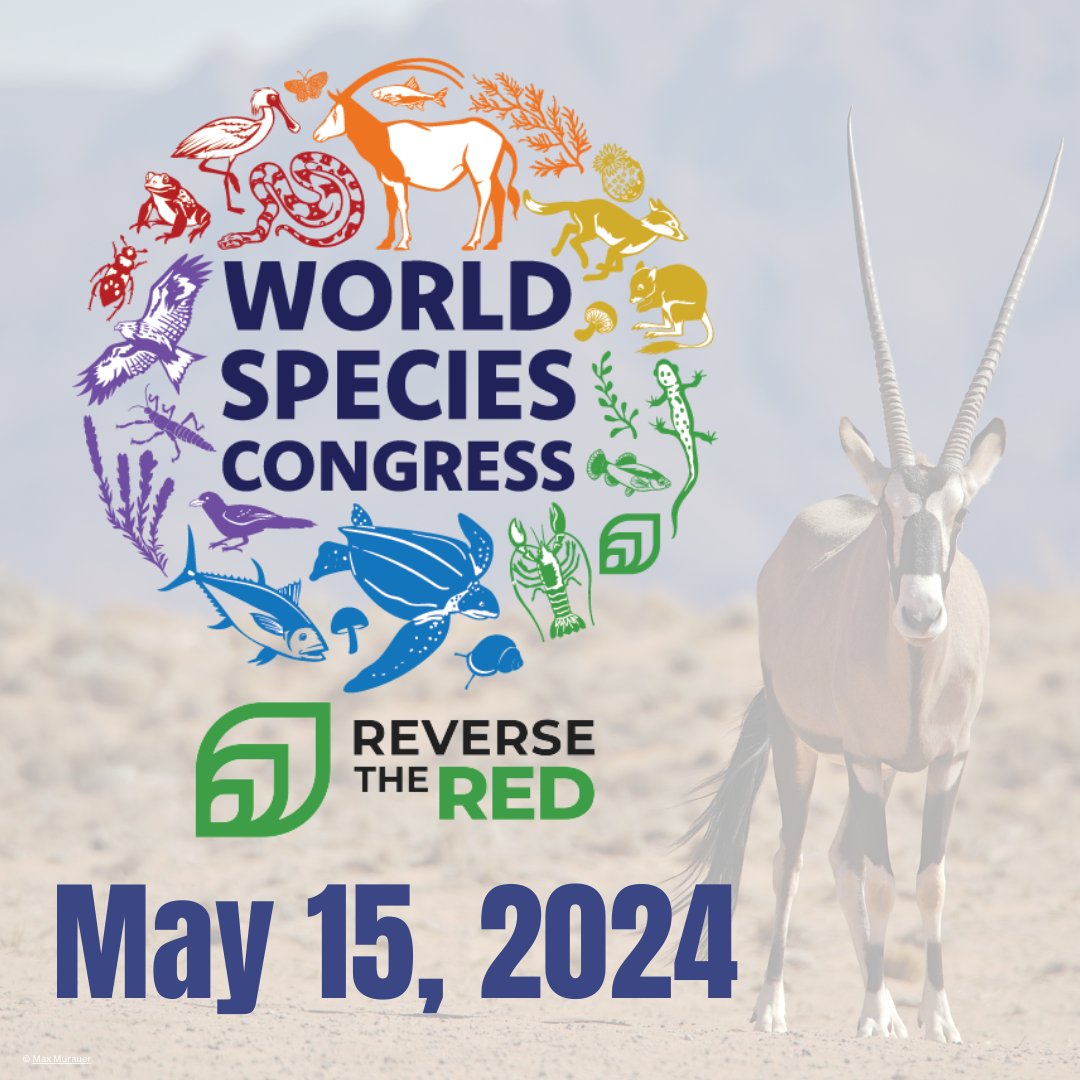 Join us at the World Species Congress on May 15th for a 24-hour virtual gathering. Engage with diverse perspectives from various sectors, expanding our conservation dialogue. Register now: e2kevents.swoogo.com/worldspeciesco…. #WorldSpeciesCongress #ReverseTheRed @ReversetheRed1