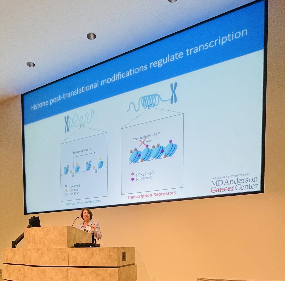 Inspiring talk by ⁦@SGoswamiMDPhD⁩ on cross talk of epigenetic and metabolic pathways regulating anti-tumor immunity. @GCC_Research⁩ ⁦@MDAndersonNews⁩ ⁦@RaiPratishtha⁩ ⁦@Bchakraborty99⁩ ⁦@amounajt⁩ ⁦@Shrinidhigowdab⁩