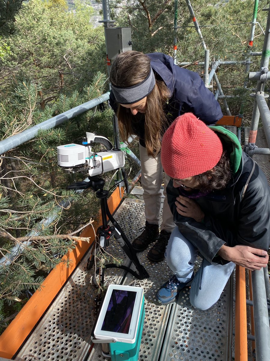 So excited to start the first measurements in our amazing VPDrought Experiment in Pfynwald with Arianna Milano and our new teammate @GiovanniBortol3 🌲🌲 @epflENAC @WSL_research
