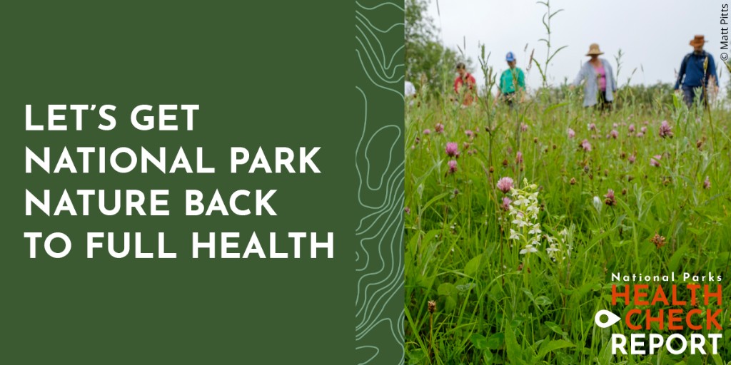 Nature is in crisis across the UK. @Campaign4Parks Health Check Report shows that even in our incredible #NationalParks nature needs a lifeline. Nature needs our help getting back to full health 🏞️ Read the report and take action for our Parks 👉cnp.org.uk/health-check-r…