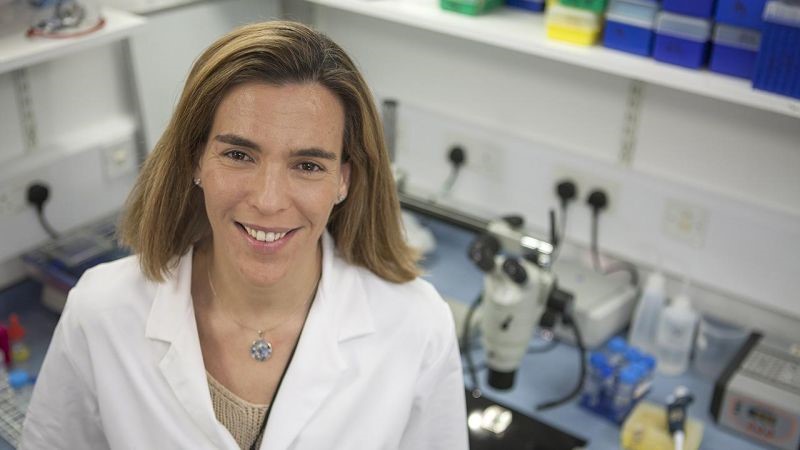 Study offers new insights into earliest stages of brain tumour development. Dr Claudia Barros and her research team – based at the the University of Plymouth – uncovered 'readying' processes which occur just prior to brain tumour onset. Read more here: ow.ly/Nzs450Rcc9g