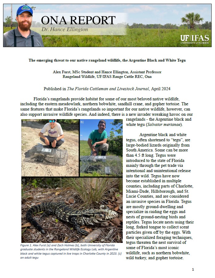 Checkout the April Ona Report - 'The emerging threat to our native rangeland wildlife, the Argentine Black and White Tegu' by Alex Furst, MS Student and Dr. Hance Ellington. rcrec-ona.ifas.ufl.edu/news-and-publi…