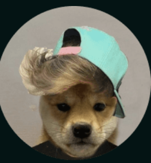 WIFHATcom's tweet photo. Wassup legends?

$WIFHAT https://t.co/8zyVMIfXSl