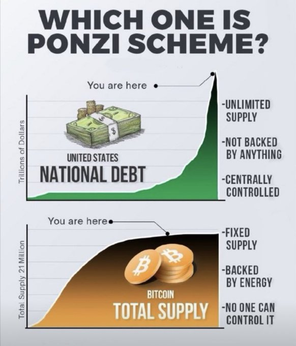 luispavon's tweet image. Dicen que #bitcoin es un esquema Ponzi... claro, si consideras invertir en el futuro de la moneda descentralizada un &apos;esquema&apos; y volverte rico lentamente en lugar de rápidamente un &apos;ponzi&apos; 😏💰 #HumorCripto