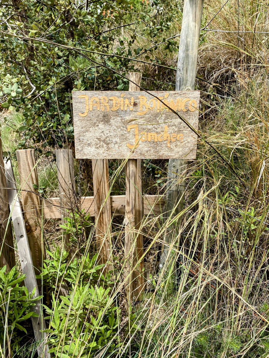IEplena's tweet photo. El pasado fin de semana pudimos compartir una maravillosa experiencia en el Master de Mindfulness y Equilibrio Emocional de la @InfoUMA con Juan Jamchen, en el taller de Ecología sostenible y conciencia natural en su jardín botánico #gestionemocionalconsciente #naturaleza https://t.co/U4ZiVrS6Pf