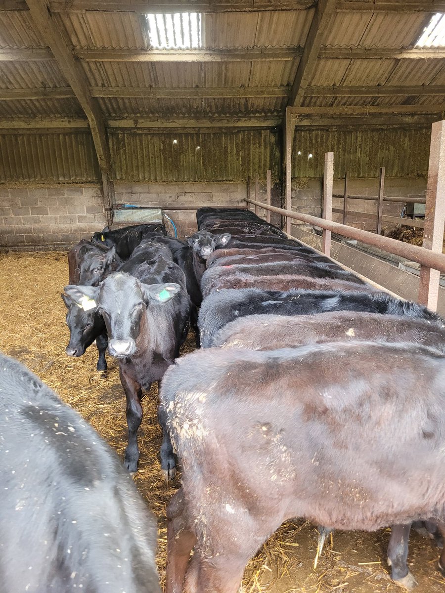 Mathew Roberts tweet media