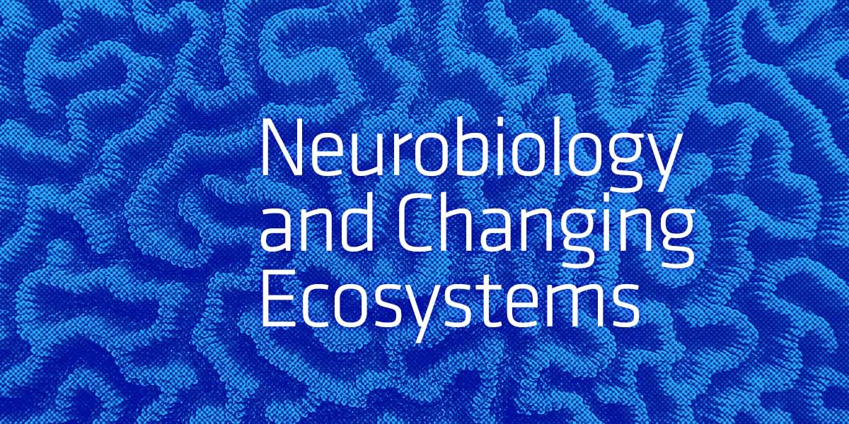 Research Corporation for Science Advancement (@rcsa1) on Twitter photo RCSA, The Paul G. Allen Frontiers Group <a href="/AllenInstitute/">Allen Institute</a> & <a href="/KavliFoundation/">The Kavli Foundation</a> launch 3-year #Scialog: Neurobiology and Changing Ecosystems initiative to spark research into neural processes & how they adapt to today’s rapid, extensive environmental changes. bit.ly/43Ryieg RCSA, The Paul G. Allen Frontiers Group <a href="/AllenInstitute/">Allen Institute</a> & <a href="/KavliFoundation/">The Kavli Foundation</a> launch 3-year #Scialog: Neurobiology and Changing Ecosystems initiative to spark research into neural processes & how they adapt to today’s rapid, extensive environmental changes. bit.ly/43Ryieg