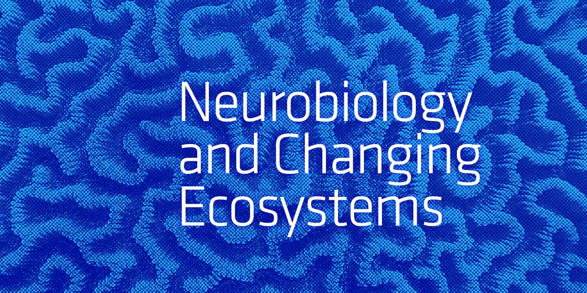 RCSA, The Paul G. Allen Frontiers Group @AllenInstitute & @KavliFoundation launch 3-year #Scialog: Neurobiology and Changing Ecosystems initiative to spark research into neural processes & how they adapt to today’s rapid, extensive environmental changes. bit.ly/43Ryieg