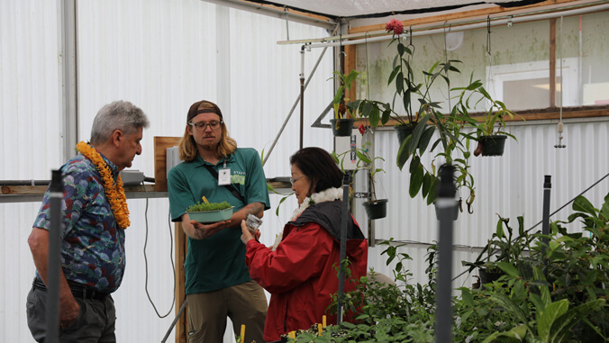 🌱 Senator @maziehirono kicks off #NationalNativePlantMonth at #LyonArboretum - Senator Hirono toured Lyon’s Hawaiian Rare Plant Program Greenhouse to see and plant Hawaiian endangered plants ➡️ bit.ly/3PSeDFy #ExploreUHM