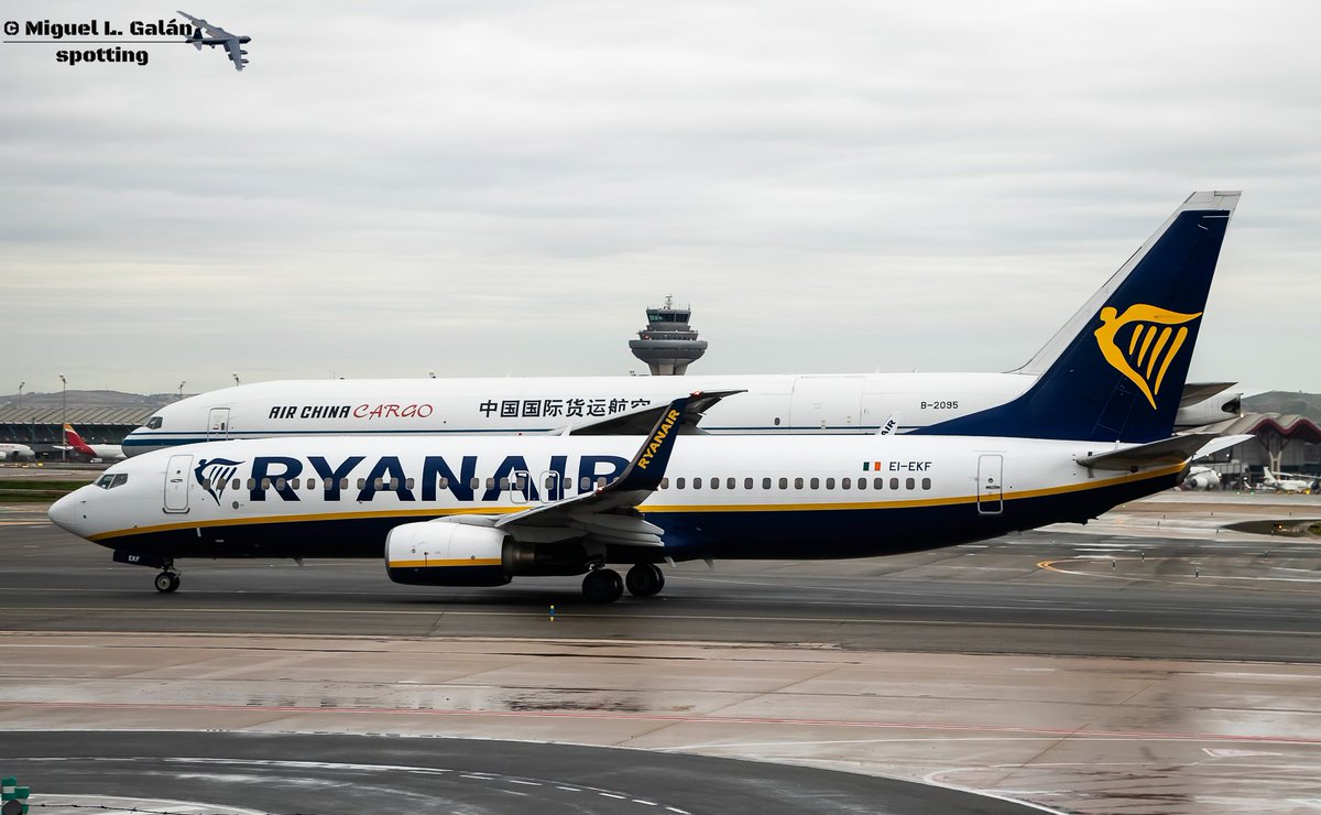 Cuestión de comparativa… cuestión de tamaño… Boeing 737-800 de Ryanair y Boeing 777F de Air China Cargo, Madrid-Barajas. LEMD 15-2-2024. #avgeek #planespotting #aviationlovers #aviationphography #ryanair #airchinacargo @Ryanair_ES @Ryanair @airchina