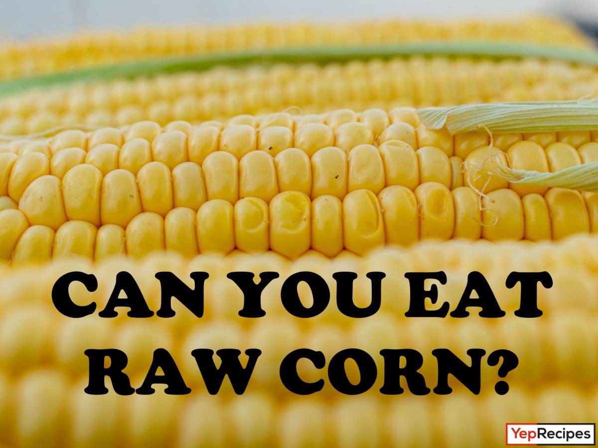 Can You Eat Raw Corn? Is It Healthy? dlvr.it/T5Kl7t