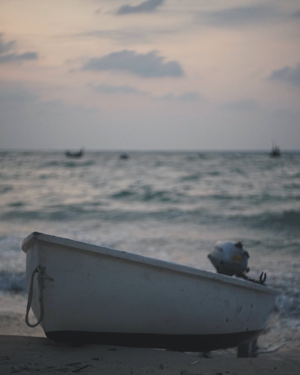 DUSK #sonya7ii #helios44 #helioslens #sonycamera #sonyshots #shotonsony #phuket