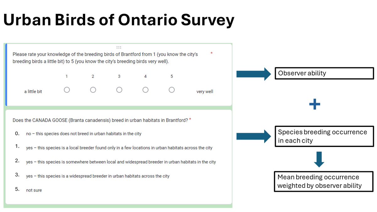 3/#BOU2024 #Sesh4 We collected urban occurrence data from scientists and birdwatchers in Ontario’s cities asking them assess breeding occurrence of birds in their cities. We used this data to calculate a mean occurrence score for each species weighted by the observer’s ability.