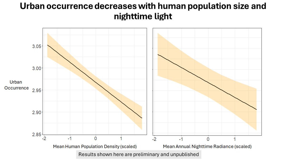 4/#BOU2024 #Sesh4 Our results show that for some traits of cities, species respond the same way regardless of their urban tolerance, with species occurrence declining with increased city size and night time light.