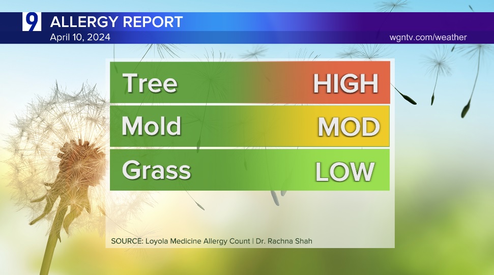 Here is today's Allergy Report from @LoyolaAllergy.