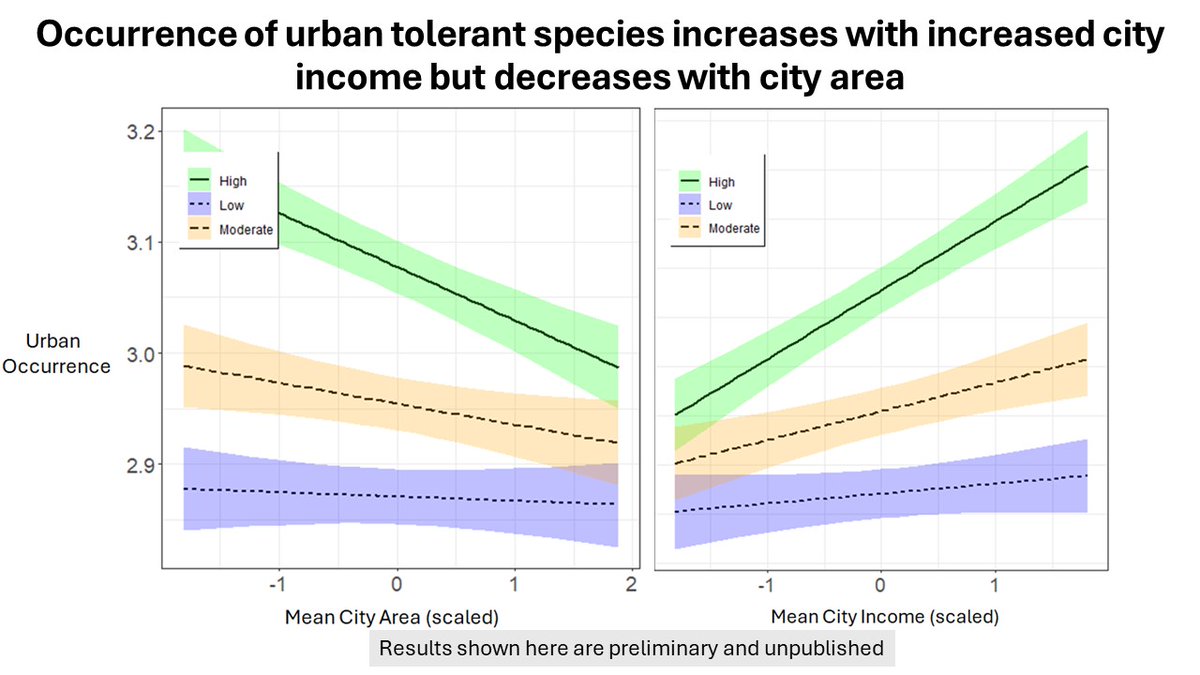 5/#BOU2024 #Sesh4 For other city traits, only birds with high urban tolerance respond strongly, with occurrence increasing with city wealth and decreasing with city size greenness but only for these species.