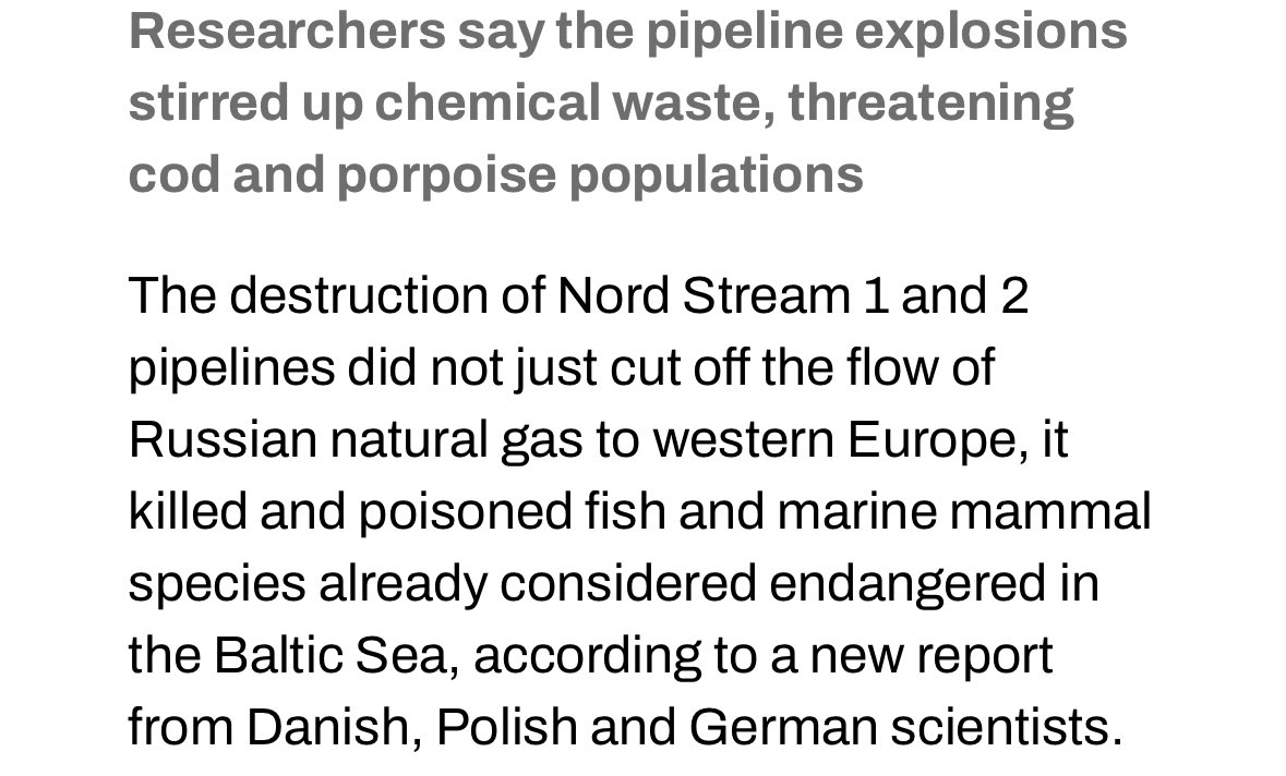 In our dehumanization of eachother, we have lost so much empathy & rationality that we don’t even stop to consider how many innocent animals are killed in combat.

Multiple species extinct. Biomes destroyed.

Nordstream alone is the largest eco-terrorist attack in modern history.