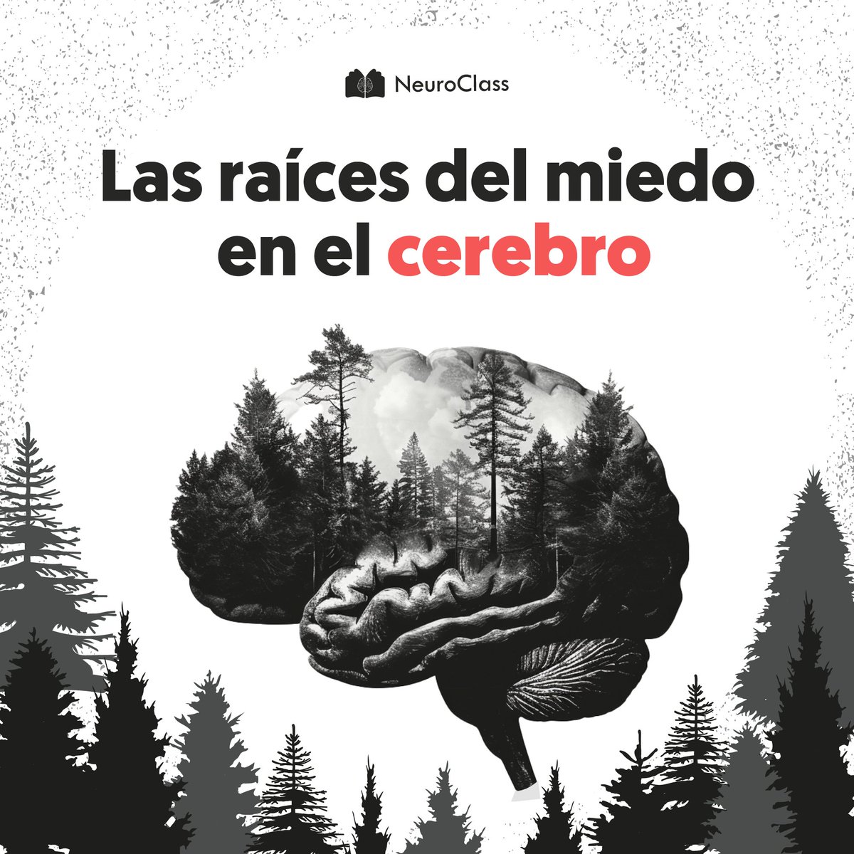 neuroclass1's tweet photo. Los mecanismos inducidos por el estrés que hacen que nuestro cerebro produzca sentimientos de miedo en ausencia de amenazas han sido mayormente un misterio🕵🏼

🧵En este hilo te contaremos acerca de hallazgos recientes sobre los mecanismos subyacentes del miedo y la ansiedad https://t.co/GWb7dI09Wg