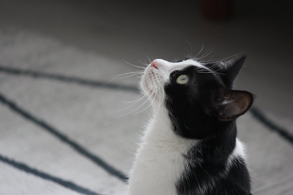 BERGGGGGGGGGGGGGGGGG tweet media