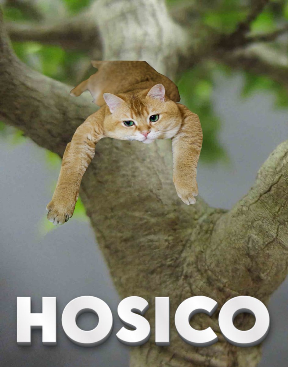 <a href="/level941/">941</a> Help him he stuck in a tree call 911 thanks