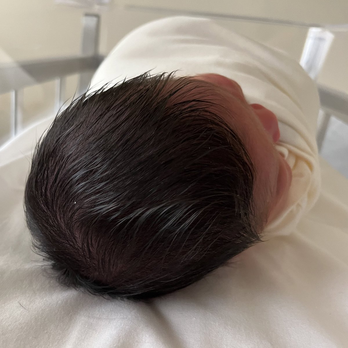 Hiroko Nishimura tweet media