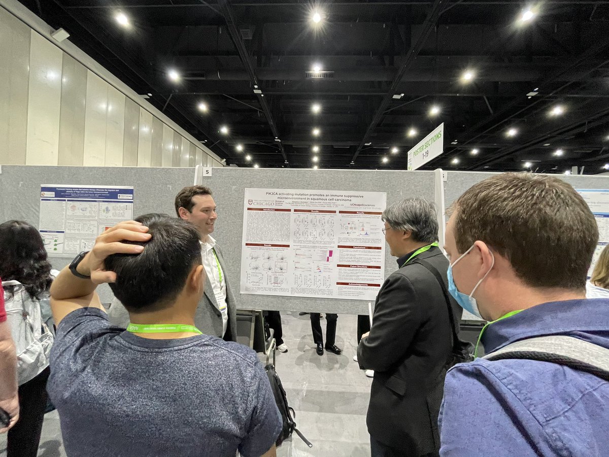 Ben Nicholson, PhD student in Miao’s lab presents excellent data at #AACR24
showing neutrophils in the tumor micro environment causing resistance to ICB treatment.
#NationalCancerPlan #Every1HasARole @UCCancerCenter @UChicagoCCB 
@UChicagoCOI @theNCI @BenNicholson78
