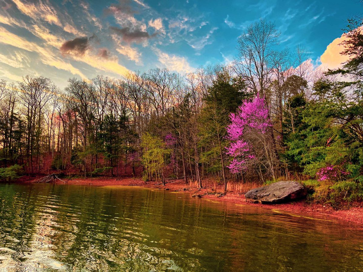 Nature puts on a show at Kentucky's lakes.🌸🌼 Start planning your visit to Laurel River Lake at the following link: bit.ly/4cRSOzK 📸 Christian Mansfield 📍 London, KY #TravelKY