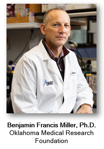 americanaging's tweet photo. Introducing the #AGEHighlights series! We will be featuring PIs and trainees to tell you more about AGE members and their research! Today, we highlight Dr. Benjamin Miller @OMRF. Dr. Miller has been a member of AGE since 2020, and in 2024 he has become an AGE Fellow. #AGETC https://t.co/n9rj2XiA4H