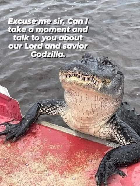 Madman In A Blue Box~... IT'S TIMELORD TECHNOLOGY tweet media