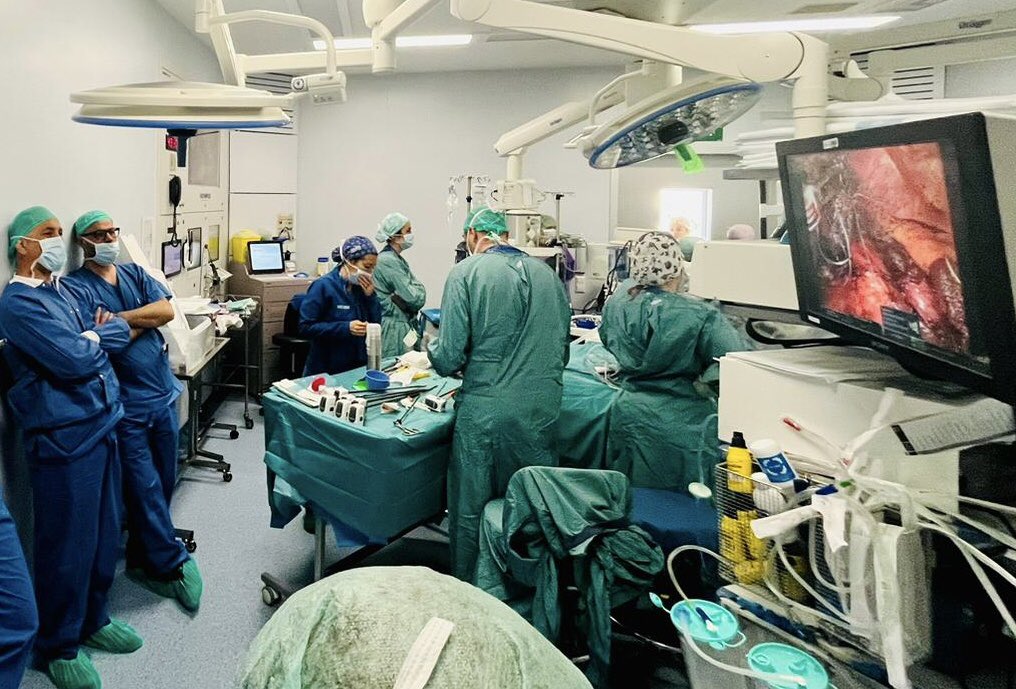 Gracias @abexDaVinci @drvilallonga y todo el equipo por el fantástico curso de Cirugía Bariátrica revisional robótica !!