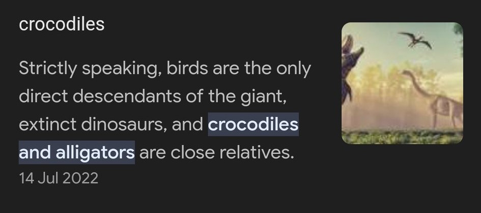 @nocapviews @craigo001 @willikahler And?
Did you not read it?

It literally says crocodilians aren't dinosaurs but are close relatives.